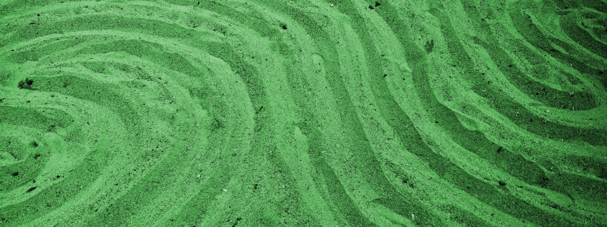 Geometric patterns drawn into sand